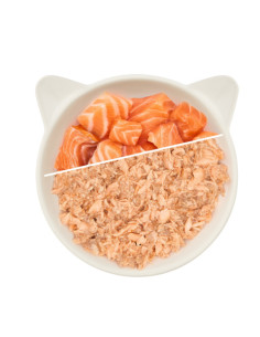 WOW Cat Filet Lachs - Łosoś 70g 2