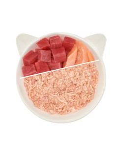 WOW Cat Filet Huhn Tuna - Kurczak i tuńczyk 70g 2