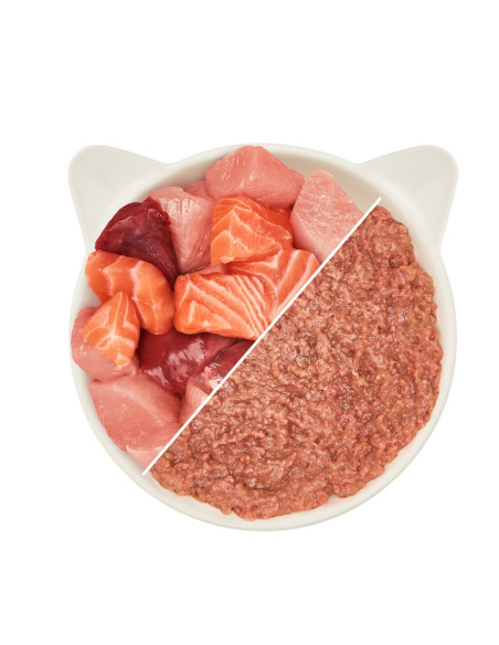 WOW Cat Pate Huhn & Lachs - Kurczak i łosoś 400g
