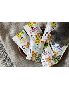 GimCat Crunchy Snack Kaczka z kocimiętką 50g 2