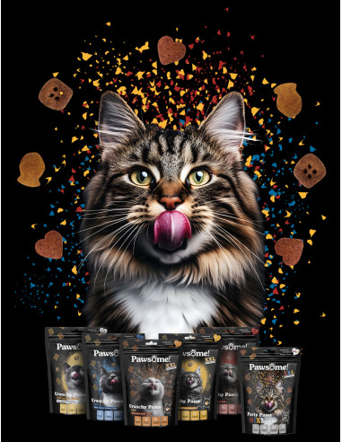 Pawsome Przysmak Crunchy Paws XXL Łosoś 150g