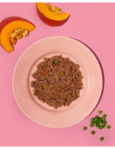 Amanova Dog Adult Tasty Salmon & Turkey - Łosoś...