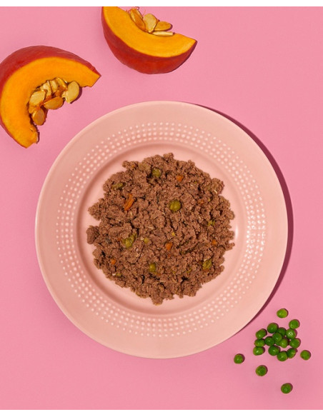 Amanova Dog Adult Tasty Salmon & Turkey - Łosoś i indyk saszetka 100g