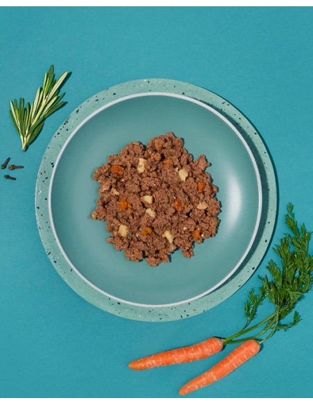 Amanova Dog Adult Irresistible Beef - Wołowina saszetka 300g