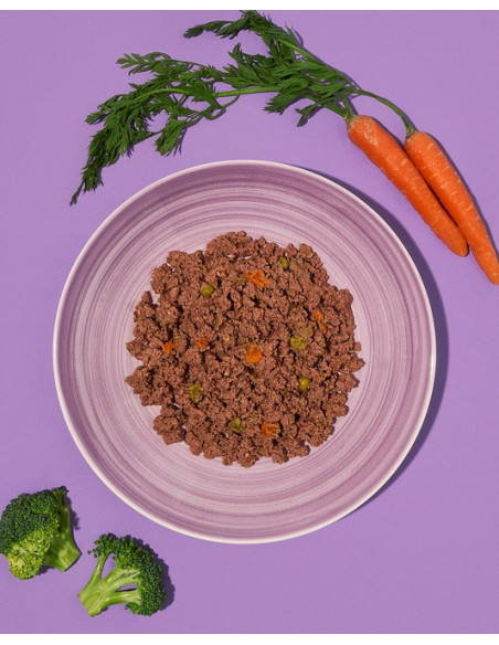 Amanova Dog Adult Brilliant Beef & Chicken - Wołowina i kurczak 100g