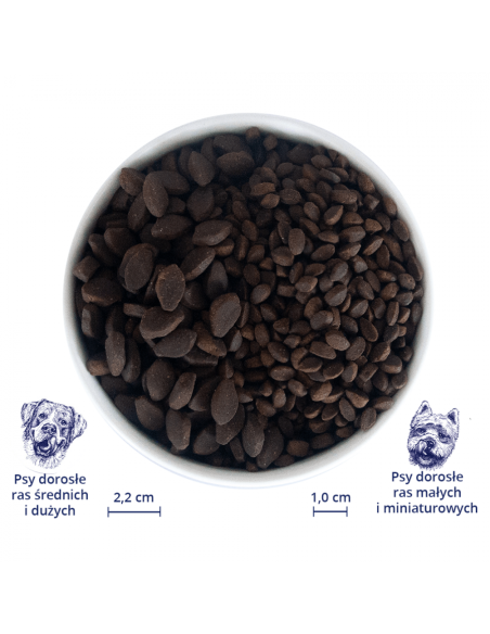 BALTICA Salmon Hypoallergenic - Małe rasy 1kg