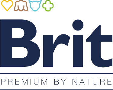 Brit